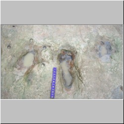 100_1676 (2009-07-29s)mod.JPG